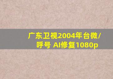 广东卫视2004年台微/呼号 AI修复1080p